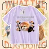 2026 Ropa para Perro Mi Cuchillo y Escudo Camiseta de Algodón Puro Manga Corta Shiba Inu Divertido Paquete de Emoticonos Abstractos Top para Niños y Adolescentes