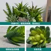 Venda Quente Transfronteiriça Cabeça de Flor Suculenta Simulada DIY Planta Flor Artificial Criativa Estilosa Planta Verde Decoração de Casa Fabricante da Fonte