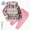 Comercio Exterior Ropa Infantil Primavera y Otoño Conjunto Infantil de Dos Piezas Material Sudadera Sudadera con Capucha Ropa Infantil para Bebés Ropa de Salida [Al por Mayor]