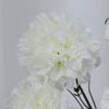 Clavel Artificial de Tallo Único Regalo del Día de la Madre Flor Conservada Clavel Comercio Exterior Flor Artificial al por Mayor