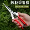 Tijeras de Podar para Jardín, Tijeras para Recolectar Fruta, Tijeras para Pimientos, Herramientas para Recolectar Goji, Tijeras para Frutas y Verduras, Tijeras para Flores