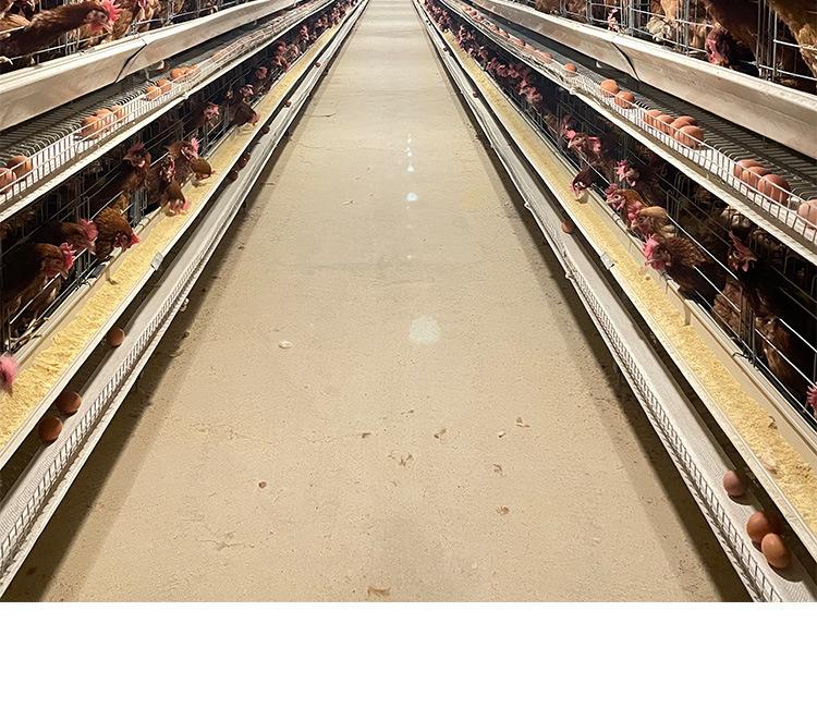 u=2816657371,1956130068&fm