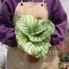 Flores de bonsai para exibição em mesa interna fácil de cuidar folhas coloridas plantas verdes plantas de bonsai estilo celebridade da internet INS