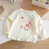 Top Falso de Dos Piezas para Niña Pequeña Lindo Estampado de Pastel de Oso con Adorno de Encaje Camiseta de Manga Larga para Niños Agradable para la Piel