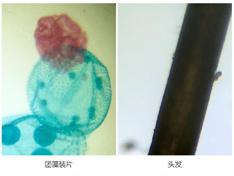 详情页15