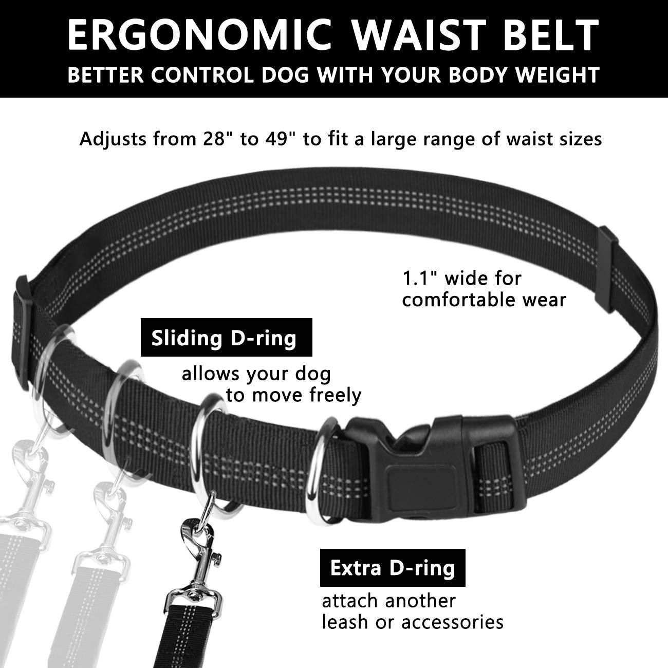 Black and Gray for 2 Dogs (Det