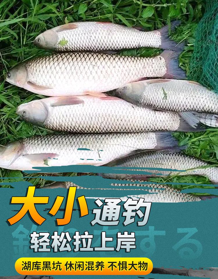 详情_10.jpg