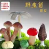 Modelo de Hongo Hongo Silvestre de Yunnan Espécimen Falso Adorno Decoración Escena Montaje Accesorios para Disparar Matsutake