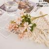 Fabricante Estilo Ins Qihai Flor de Orquídea de Nieve Fragante de Cinco Pétalos Flor Artificial Decoración del Hogar Venta al por Mayor de Flores Artificiales Transfronterizas para Bodas Mw66788