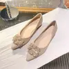 Zapatos de tacón grueso estilo francés para mujer con un toque de alta gama, cómodos para los pies, Zapatos de boda de doble uso, Zapatos de moda para mujer, Nueva colección Primavera/Verano 2025