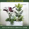 Caja de flores decoración flores y plantas arreglo floral producto terminado adorno de planta verde venta de restaurante oficina mampara canaleta de flores paisajismo biónico