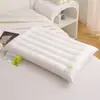 Almohada Plana, Almohada Baja, Almohada Ultradelgada, Almohada Corta, Almohada de Verano para Adultos con Núcleo para Columna Cervical, Zona de Sueño con Oxígeno Vitalidad, Almohada Baja para Estudiantes