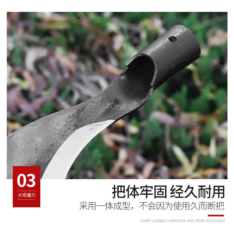 详情_10.jpg