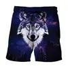Shorts de Natação Masculino Verão Fornecimento Direto da Fábrica 2024 Comércio Exterior Transfronteiriço Shorts de Praia Quentes
