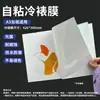 Juego completo de pinzas para muestras de plantas, papel corrugado con papel absorbente, pinzas para hojas de madera, muestras de plantas, enseñanza de ciencias biológicas