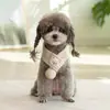 Ropa Nueva de Otoño e Invierno para Gatos y Perros, Bufandas para Mascotas, Collares, Baberos Navideños, Accesorios, Baberos, Sombreros para Gatos y Cachorros