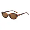 Óculos de Sol Oval com Armação Pequena Estilo Novo Transfronteiriço, Óculos de Sol Femininos Fashion Cat-Eye Estilo de Rua, Óculos de Alta Qualidade, Personalizados e Versáteis