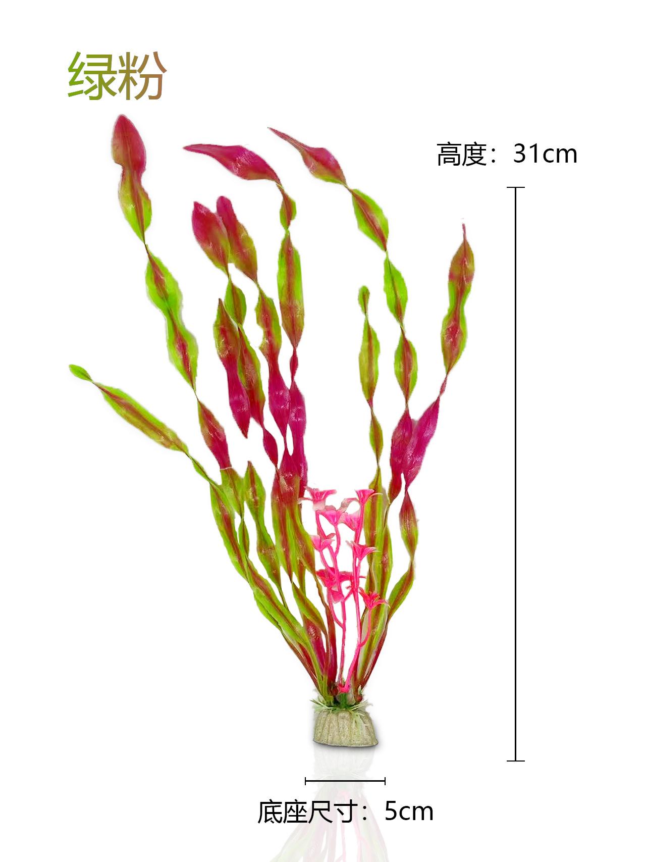 绿粉海草