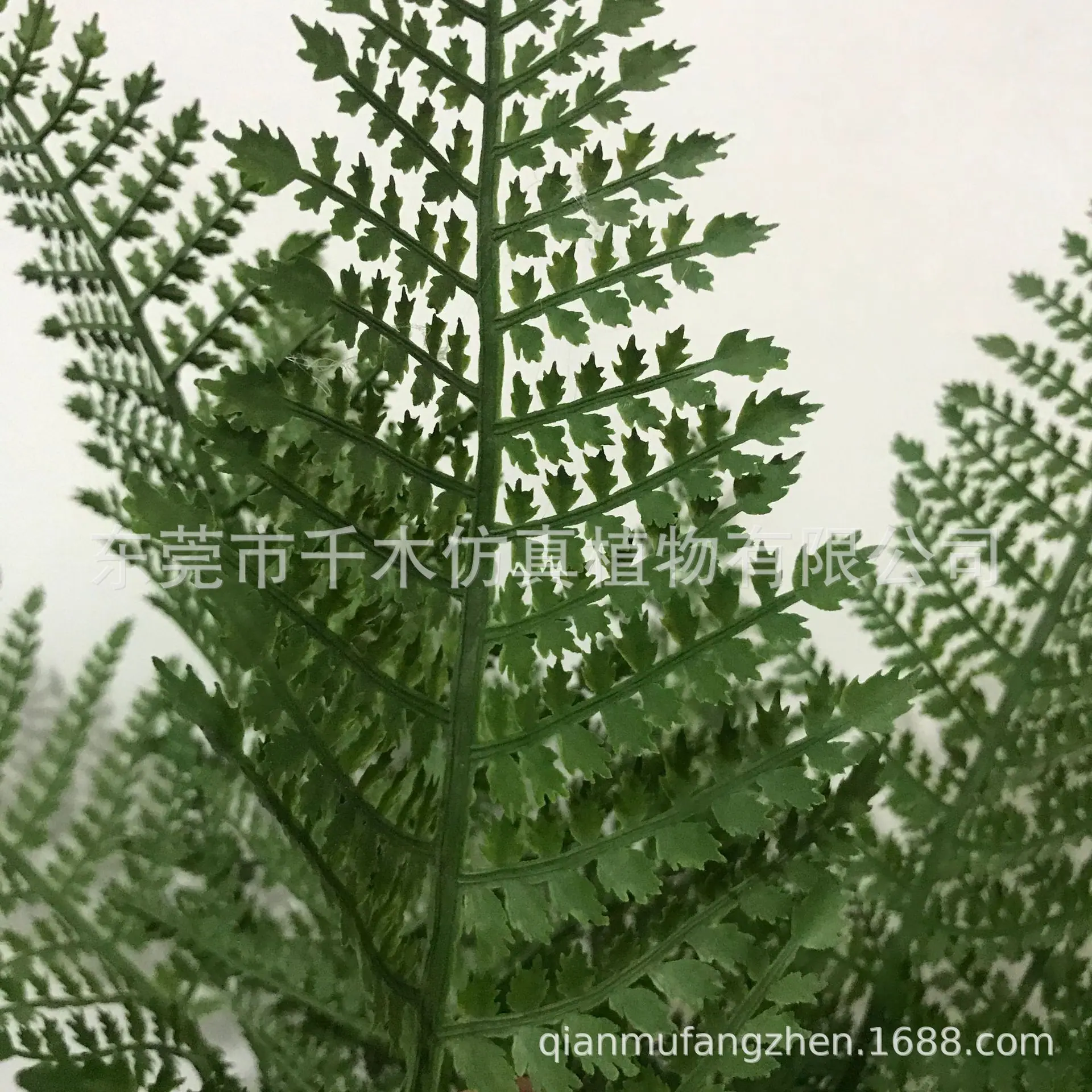 微信图片_202105151639131