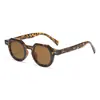 Óculos de Sol Jamie 5223 Novo de Armação Pequena, Modernos e Versáteis, com Armação de Plástico e Design de Pino, Podem Ser Equipados com Lentes de Grau