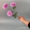 Nuevas 3 peonías, flores de peonía al por mayor, para bodas, hoteles, accesorios florales, paisajismo exterior.