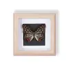 Especímenes de Mariposas Reales Raros y Preciosos (Mariposa Pavo Real) en un Marco, Decoración Moderna de Madera para el Hogar, Decoración Creativa de Mesa