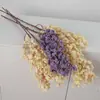 Simulação de Galho Único Fruta Auspiciosa Pequeno Azevinho Flor Decorativa Material Decoração de Casa Hotel Simples Venda Quente Transfronteiriça Atacado