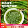 La Salsa de Pimiento Verde es Fragante y Deliciosa, Picante pero No Grasosa, Salsa de Pimiento Verde para Catering Casero para Tamales, Fideos, Arroz y Salsa para Untar