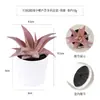 Más de 100 Tipos de Combinaciones de Plantas Suculentas Mini de Plástico Simuladas en Maceta, Mini Bonsáis Suculentos Más Vendidos Transfronterizos, Decoración para el Hogar, Adornos Creativos