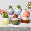 Maceta de cerámica con forma de macarrón, diseño de dibujos animados, para plantas carnosas, maceta pequeña, ideal para jardinería doméstica en Amazon, maceta para cactus.