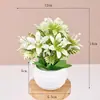 Plantas en maceta de planta verde artificial, plantas verdes artificiales minimalistas nórdicas, plantas en maceta para escritorio de oficina, accesorios de fotografía, bonsái de planta verde pequeño