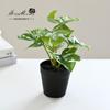 Flor Artificial planta verde cesto suspenso folhas de rabanete verde pequeno bonsai flor artificial decoração criativa interna planta em vaso artificial geração de cabelo