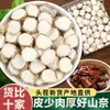 Colección Completa de Especias y Condimentos: Anís estrellado, Anís, Cardamomo negro, Canela, Clavos, Venta al por mayor comercial, A granel, Combinaciones auto-seleccionadas, Ingredientes para marinar
