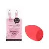 Huevo de Maquillaje Seco y Húmedo Doble Uso Tipo Calabaza Corte Diagonal Tipo Gota Huevo de Maquillaje para Belleza Combinación Independiente Empaquetado Huevo de Maquillaje Portátil