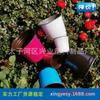 Vaso de flores de plástico Vaso de galão carnudo Mudas Vaso de flores de duas cores pp Plástico macio Simples engrossado Jardinagem Controle de raízes Vaso de flores