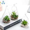 Estudo em Casa Varanda Pendurado Suculenta Planta Verde Vaso de Vidro Transparente Micro Paisagem Hidropônico Flor Dispositivo Artesanato
