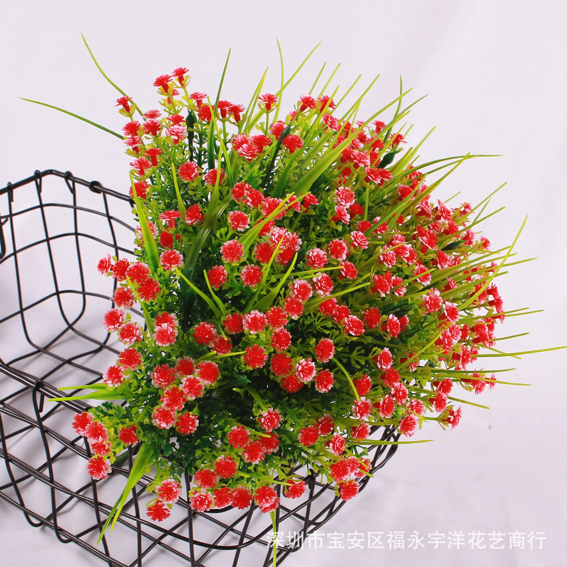 IMG_9017_副本.jpg