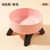 Comedero para Gatos con Patas Altas, Comedero para Gatos que Protege el Cuello, Comedero de Acero Inoxidable para Mascotas, Comedero Integrado de Agua y Comida, Antiderrames, Resistente a Caídas, Comedero Grande para Perros
