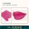 Bairo polvo de labios diy casero planta color primario polvo hecho a mano superfino color polvo material marca número de color polvo que cambia de color