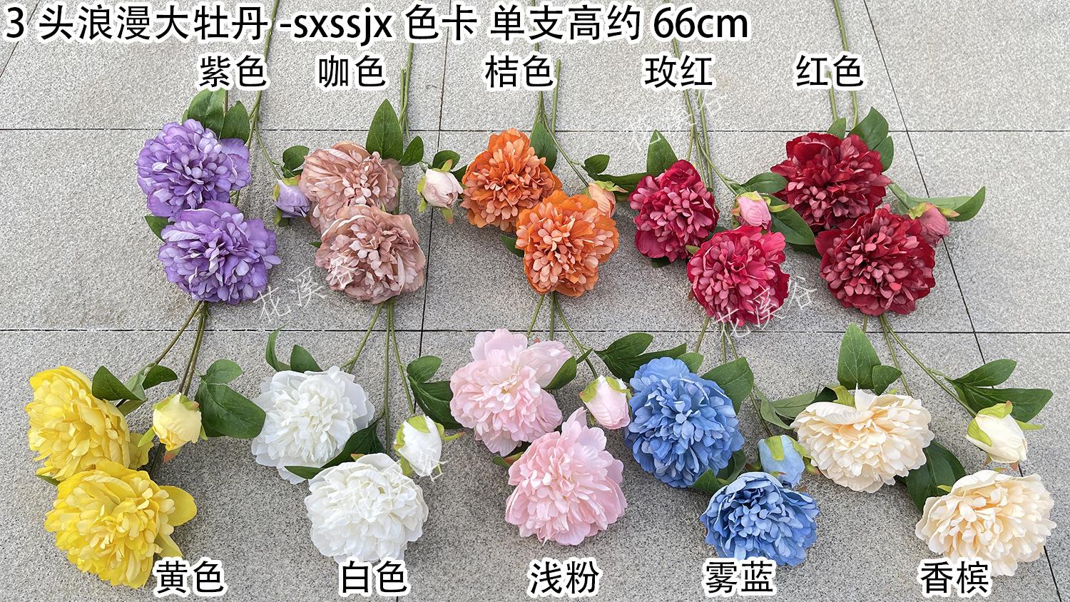 3头浪漫大牡丹-sxssjx 色卡 花溪谷.jpg
