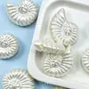 Colgante de concha de color perla artificial acrílica con agujeros, cuentas perforadas de color concha de estrella de mar y caracola para accesorios de joyería DIY