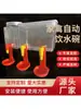 Comedero Bebedero para Polluelos de Codorniz Antiolor Antisalpicaduras Hervidor Impermeable Bebedero Picoteador para Polluelos de Codorniz