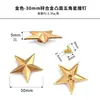 Rebites de Estrela de Cinco Pontas, Tachas de Estrela de Cinco Pontas Prateadas, Decoração Punk, Acessórios DIY para Roupas e Bolsas, Tachas de Estrela Bronze Antigo