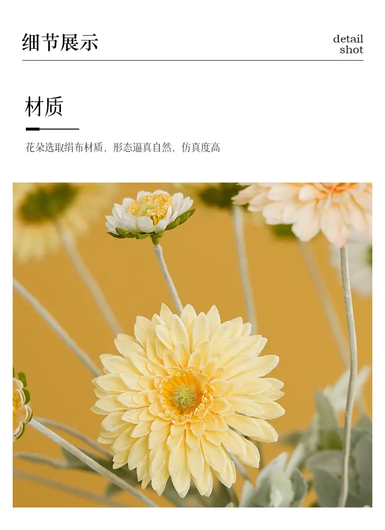 千羽4头发财菊_14.jpg