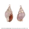 Colgante de Concha de Caracol Natural DIY Materiales de Galvanoplastia Aretes Hechos a Mano Carrillones de Viento Adornos Colgantes Colgantes Creativos Hechos a Mano