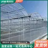 Estructura de invernadero de plástico multicampo con arco de plástico para aislamiento, cultivo de hortalizas y flores, sombreado interior y exterior, cultivo de plántulas y agricultura