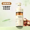 Champú para Baño de Gatos para Gatos Ragdoll de Pelo Largo, Gel de Baño Antibacteriano, Eliminador de Ácaros y Elimina Olores