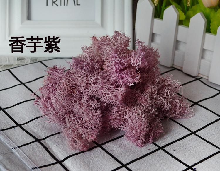 香芋紫苔藓