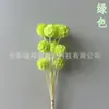 Molino de Viento Fruta de Flor Preservada, Materiales Florales Decorativos Fruta de Piña de Flor Preservada, Adornos para Arreglos Florales, Venta Directa de Fábrica, Superventas Transfronterizos