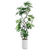 Planta Verde Grande para Sala de Estar con Forma de Pata de Pato, Planta en Maceta de Interior de Fácil Mantenimiento, Planta Verde Perenne de Pie para Oficina para Todas las Estaciones